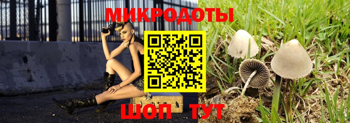 Псилоцибиновые грибы Cubensis  Псилоцибиновые грибы мухоморы  Каспийск  Вход с VPN 