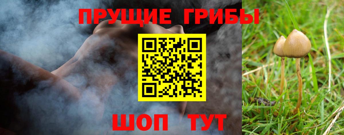 Галлюциногенные грибы ЛСД Каспийск